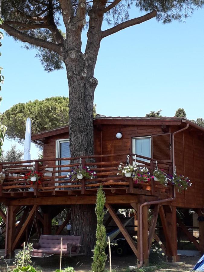 Il Vivaio Villa ตาร์กวิเนีย ภายนอก รูปภาพ