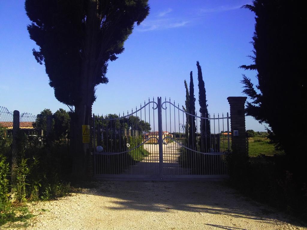 Il Vivaio Villa ตาร์กวิเนีย ห้อง รูปภาพ