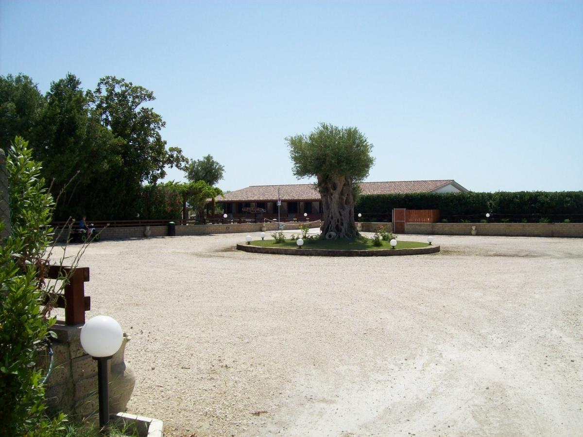 Il Vivaio Villa ตาร์กวิเนีย ภายนอก รูปภาพ
