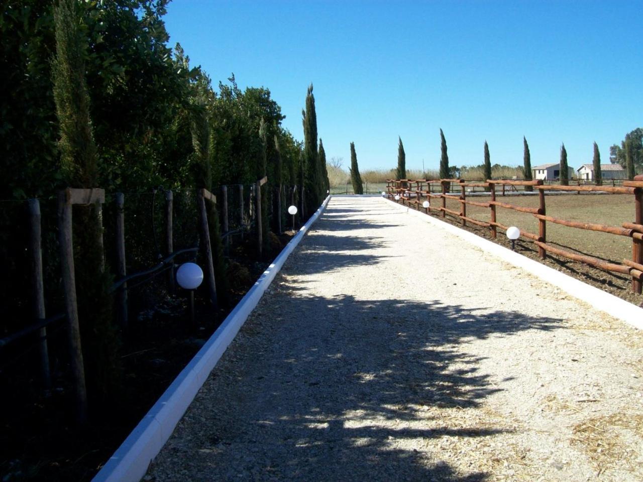 Il Vivaio Villa ตาร์กวิเนีย ภายนอก รูปภาพ